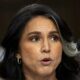 Tulsi Gabbard National Intelligence Council