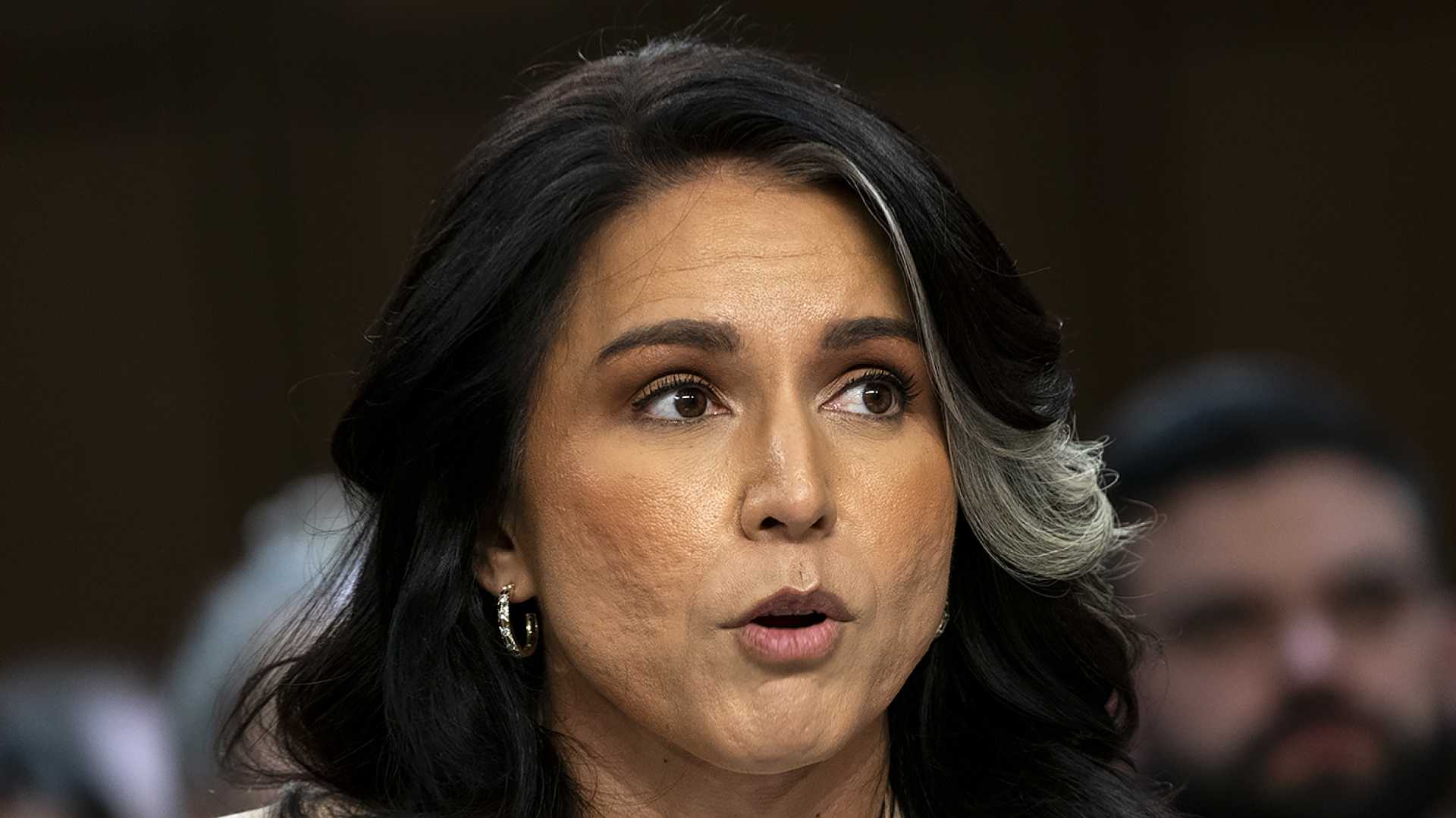 Tulsi Gabbard National Intelligence Council