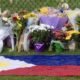 Vancouver Festival Attack Memorial Tribute