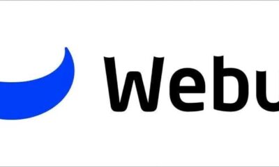 Webull Financial Results May 2025