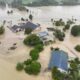 Wellington Strong Winds Storm Emergency May 2023