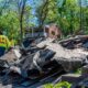 Western Pennsylvania Storm Damage April 2025