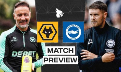 Wolves Brighton Premier League Match