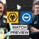 Wolves Brighton Premier League Match