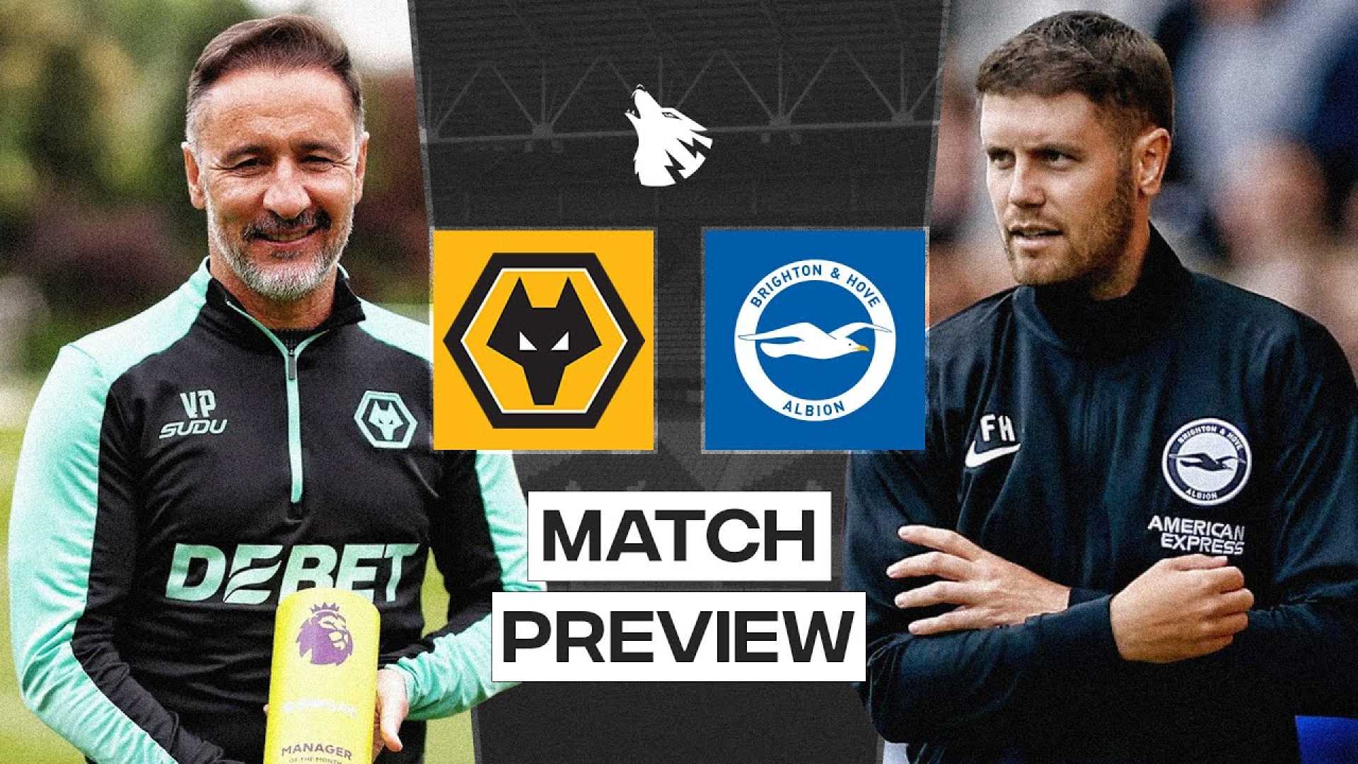 Wolves Brighton Premier League Match