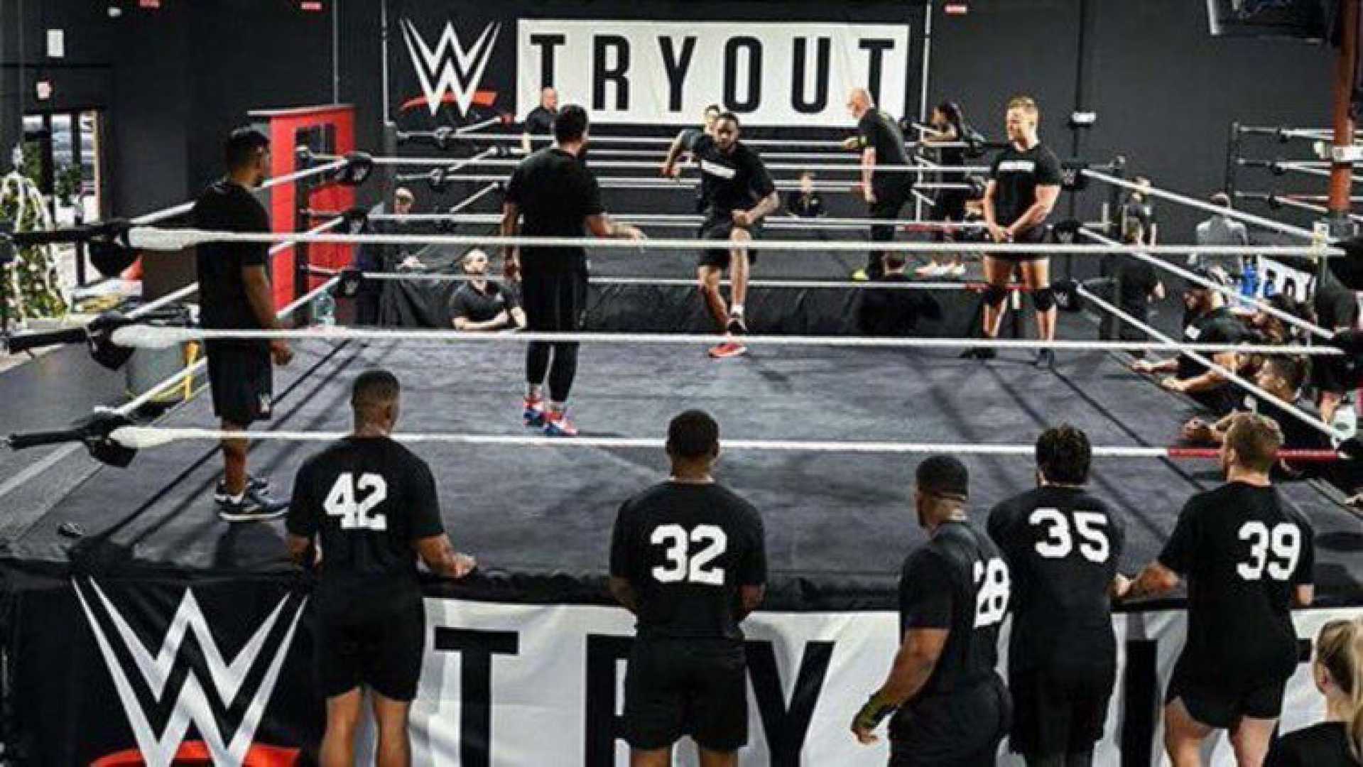 Wwe Summerslam 2025 Talent Tryouts