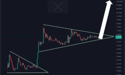 Xrp Cryptocurrency Market Trends