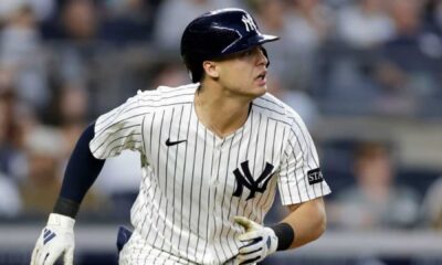 Yankees Player Volpe Baseball Game