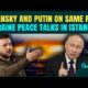 Zelensky Putin Turkey Peace Talks