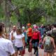 Zion National Park Summer Visitor Crowds