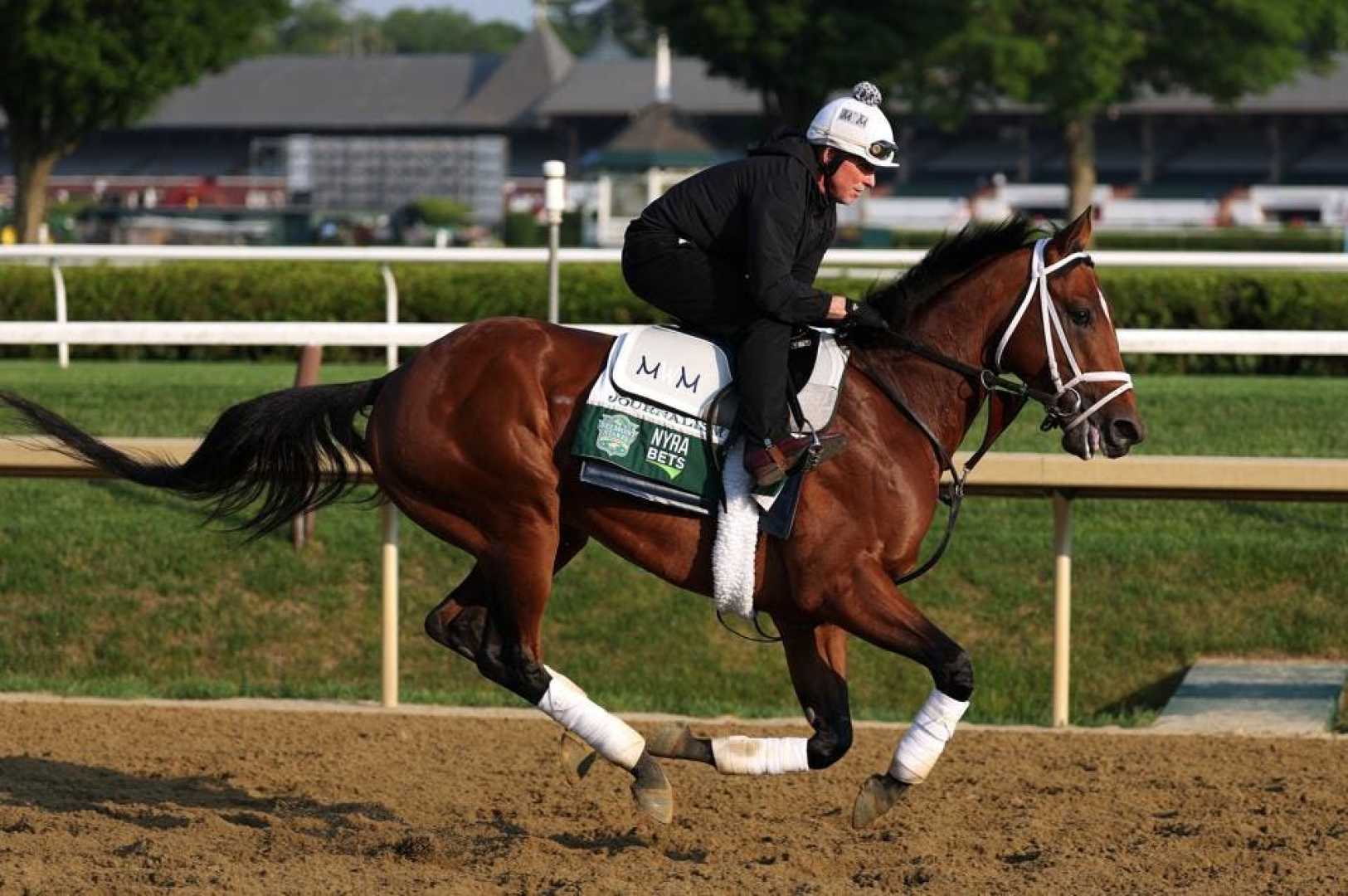 2025 Belmont Stakes Horse Racing