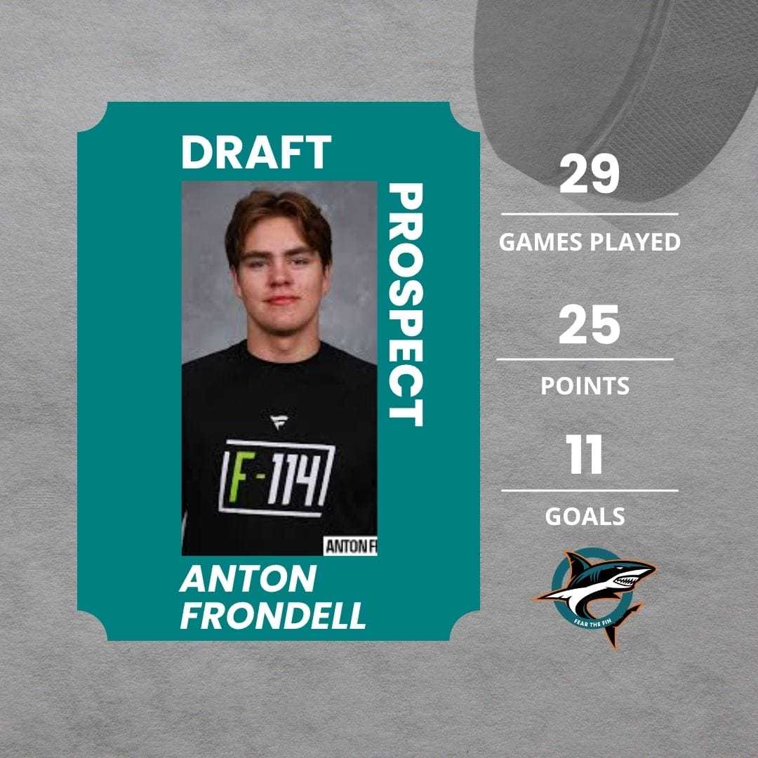 Anton Frondell Nhl Draft 2025