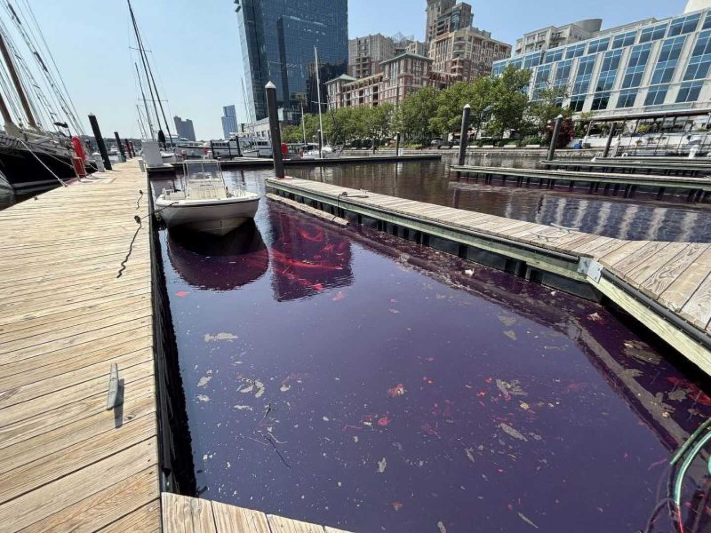Baltimore Harbor Diesel Spill Response