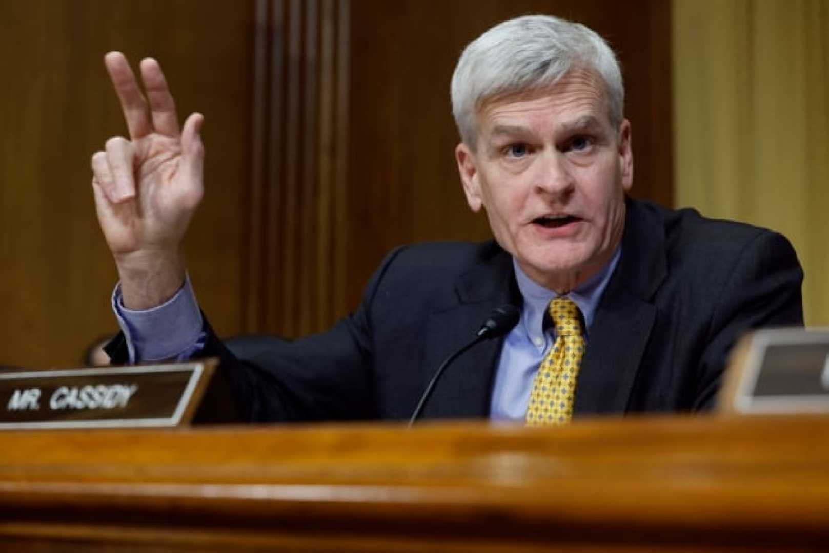 Bill Cassidy Senate Hearing