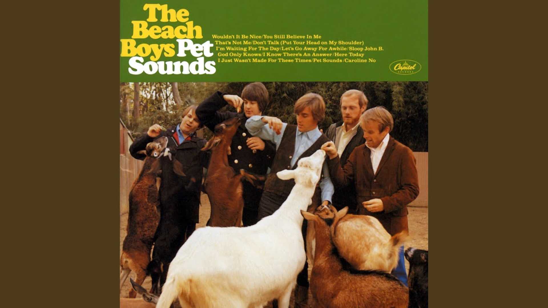 Brian Wilson Pet Sounds Album