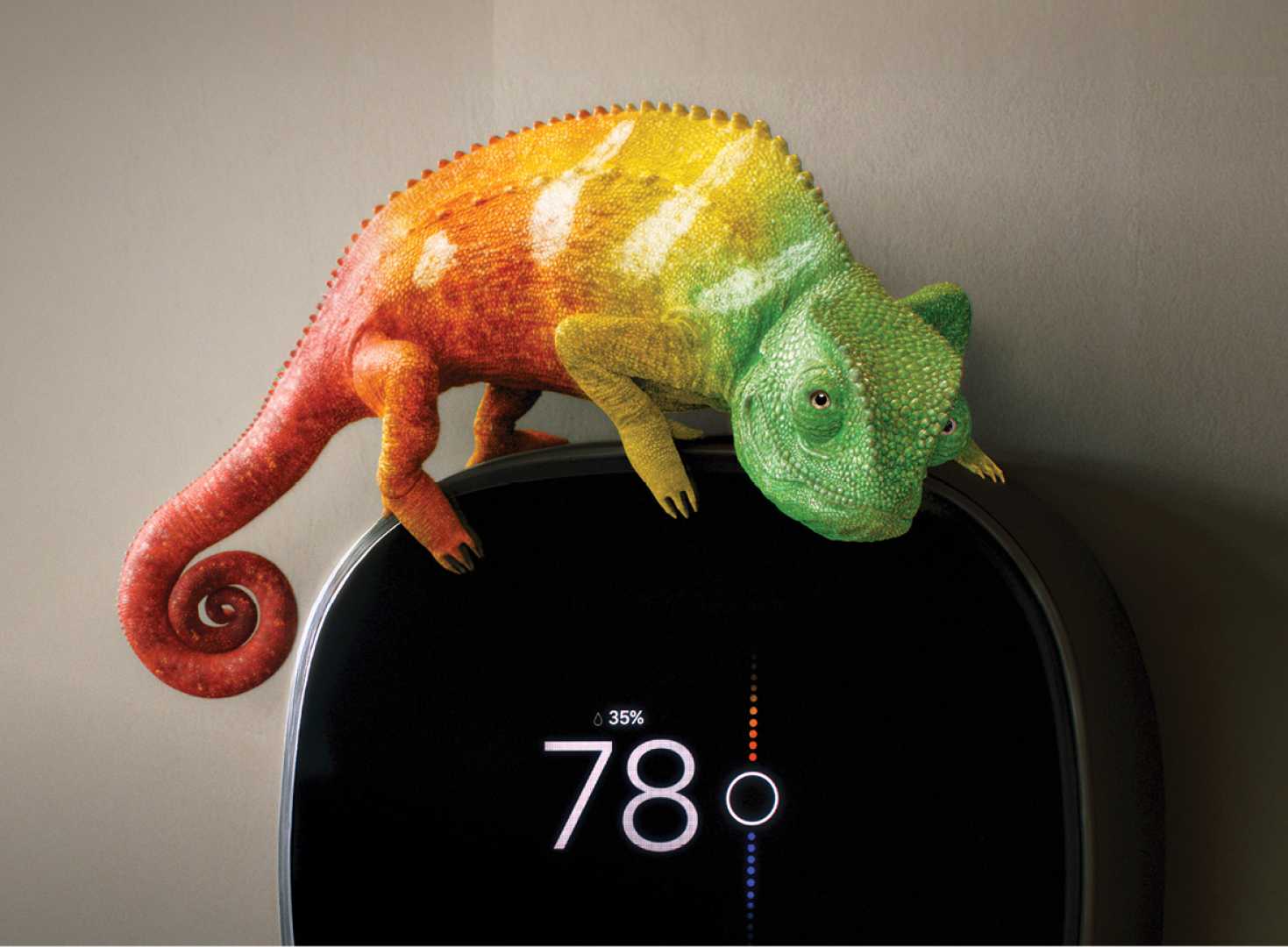 Cam The Chameleon Energy Conservation Tips