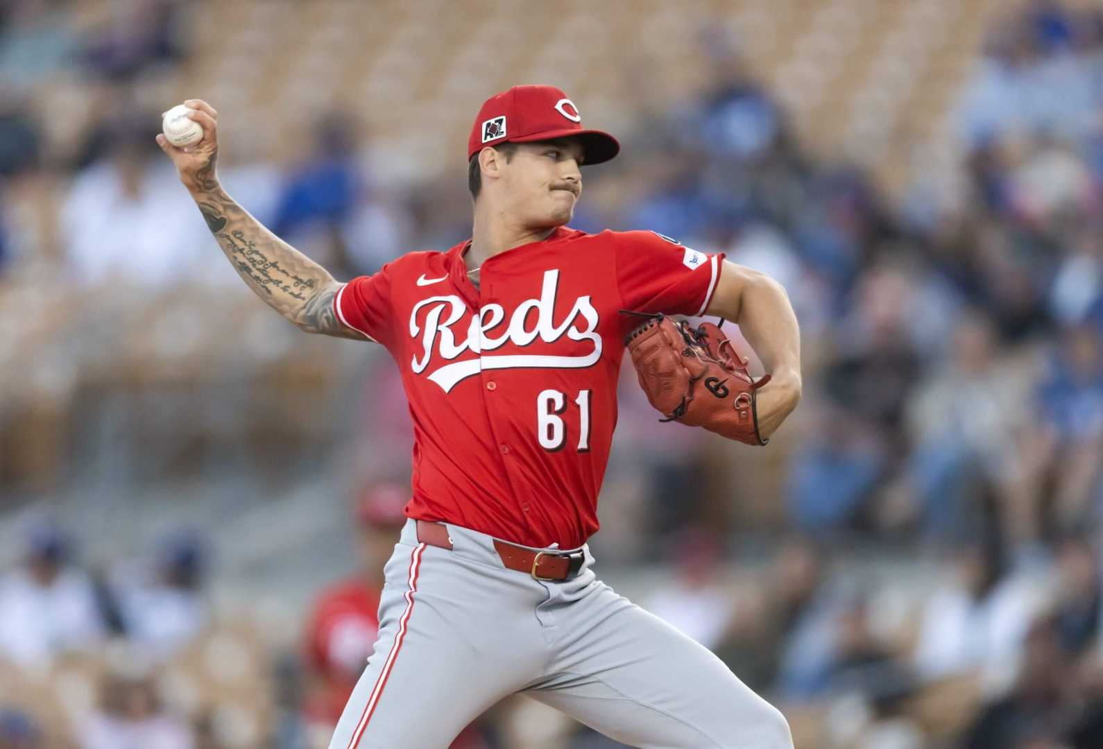 Chase Petty Cincinnati Reds Baseball