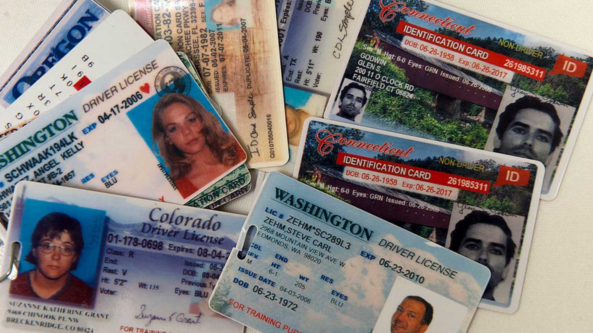 Chinese Plot Fake Driver's Licenses Election