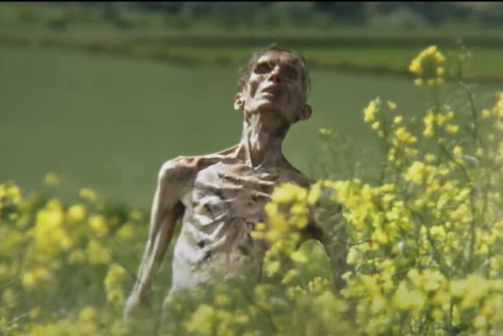Cillian Murphy 28 Years Later Film