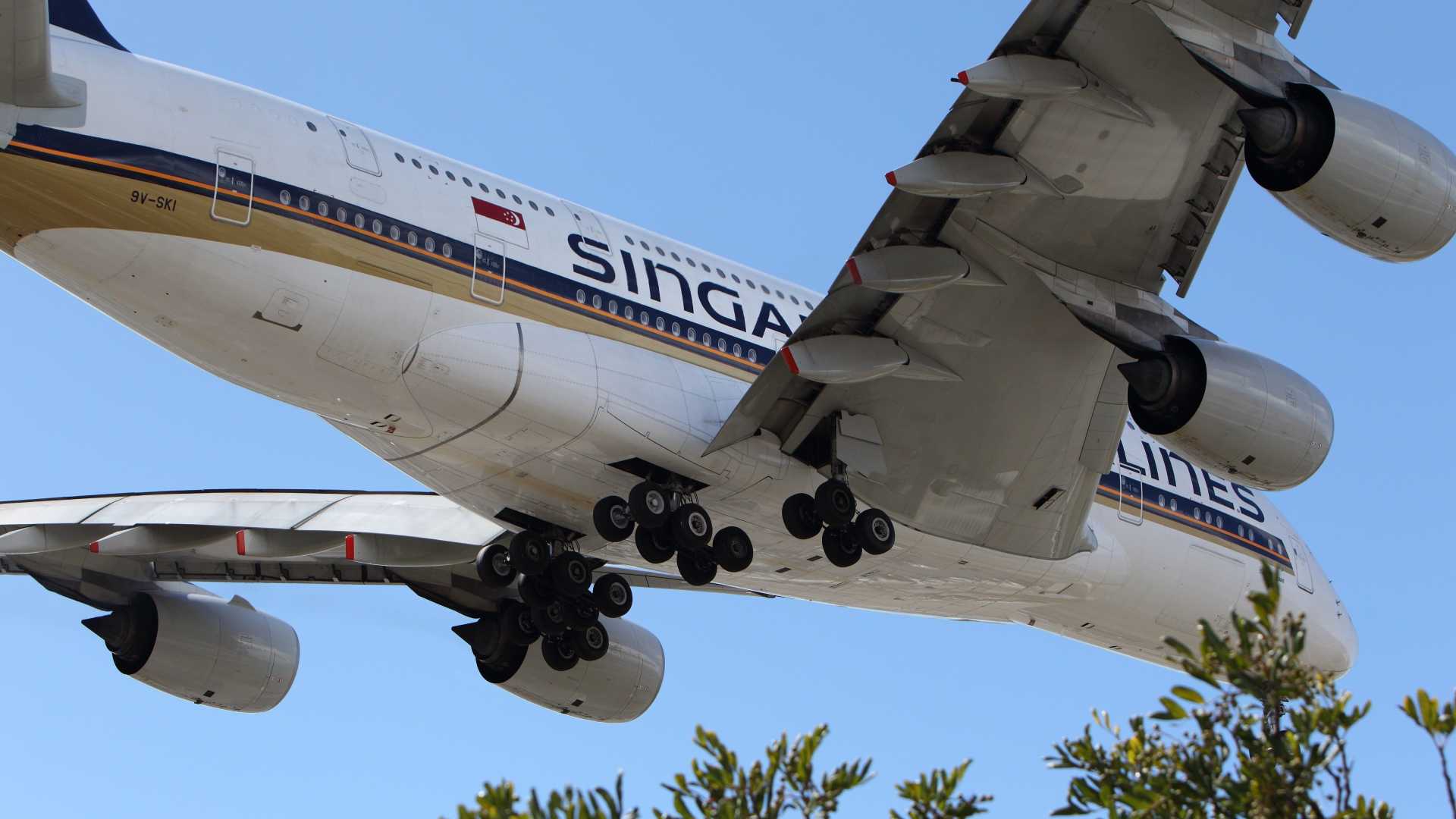 Doctor Lawsuit Airline Allergy Case