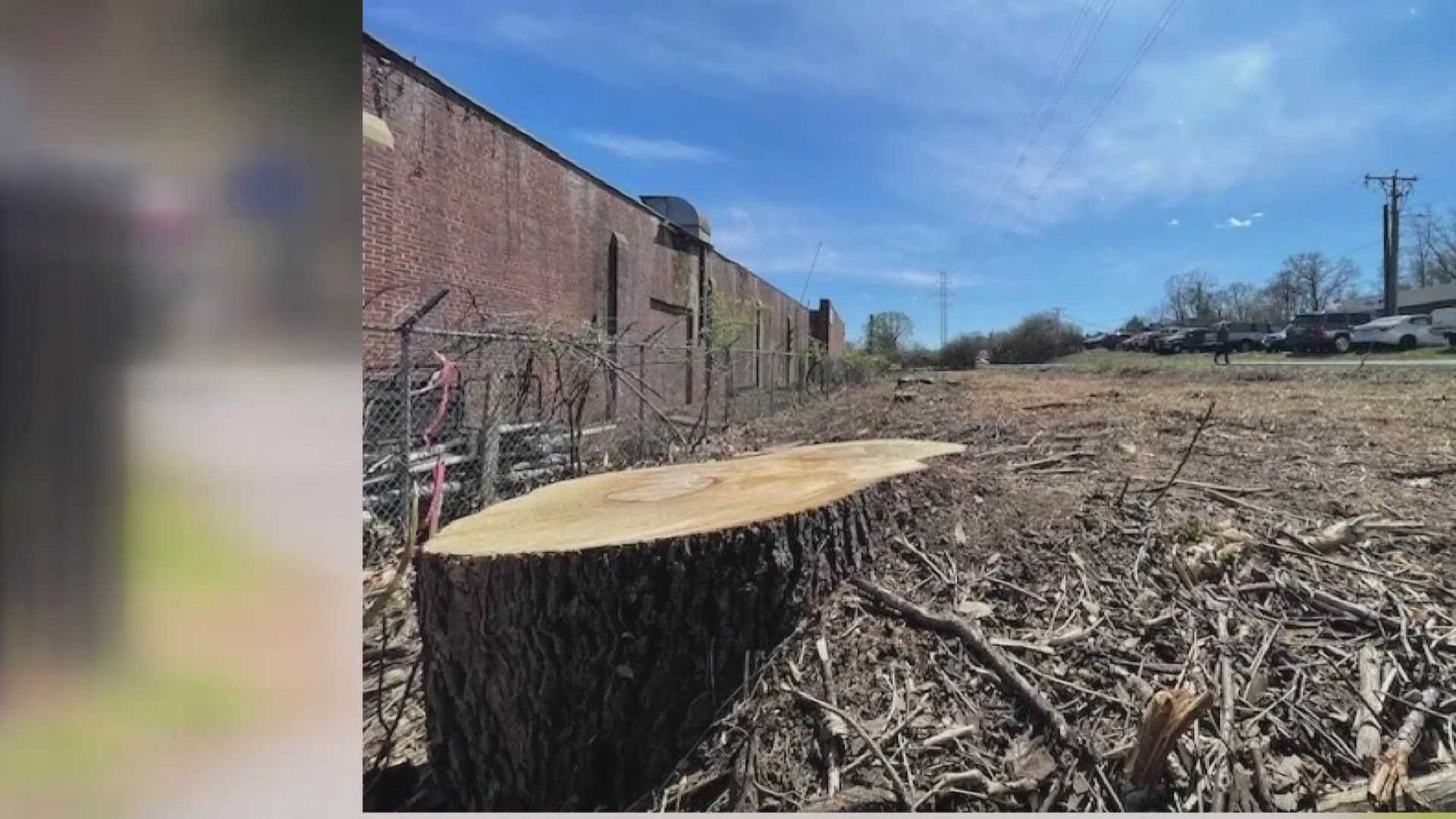 Dominion Energy Tree Cutting Wod Trail