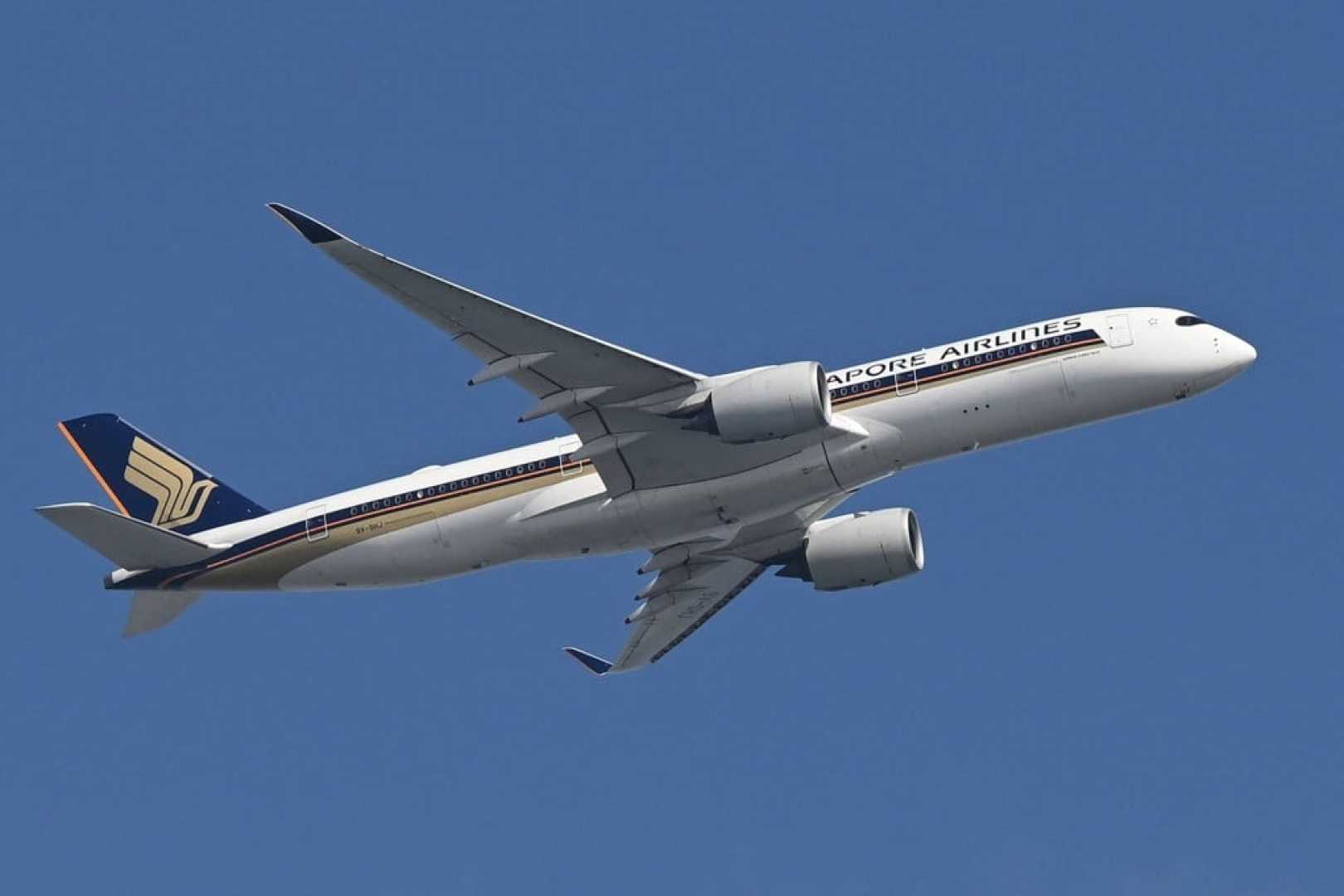 Dr Doreen Benary Singapore Airlines Incident