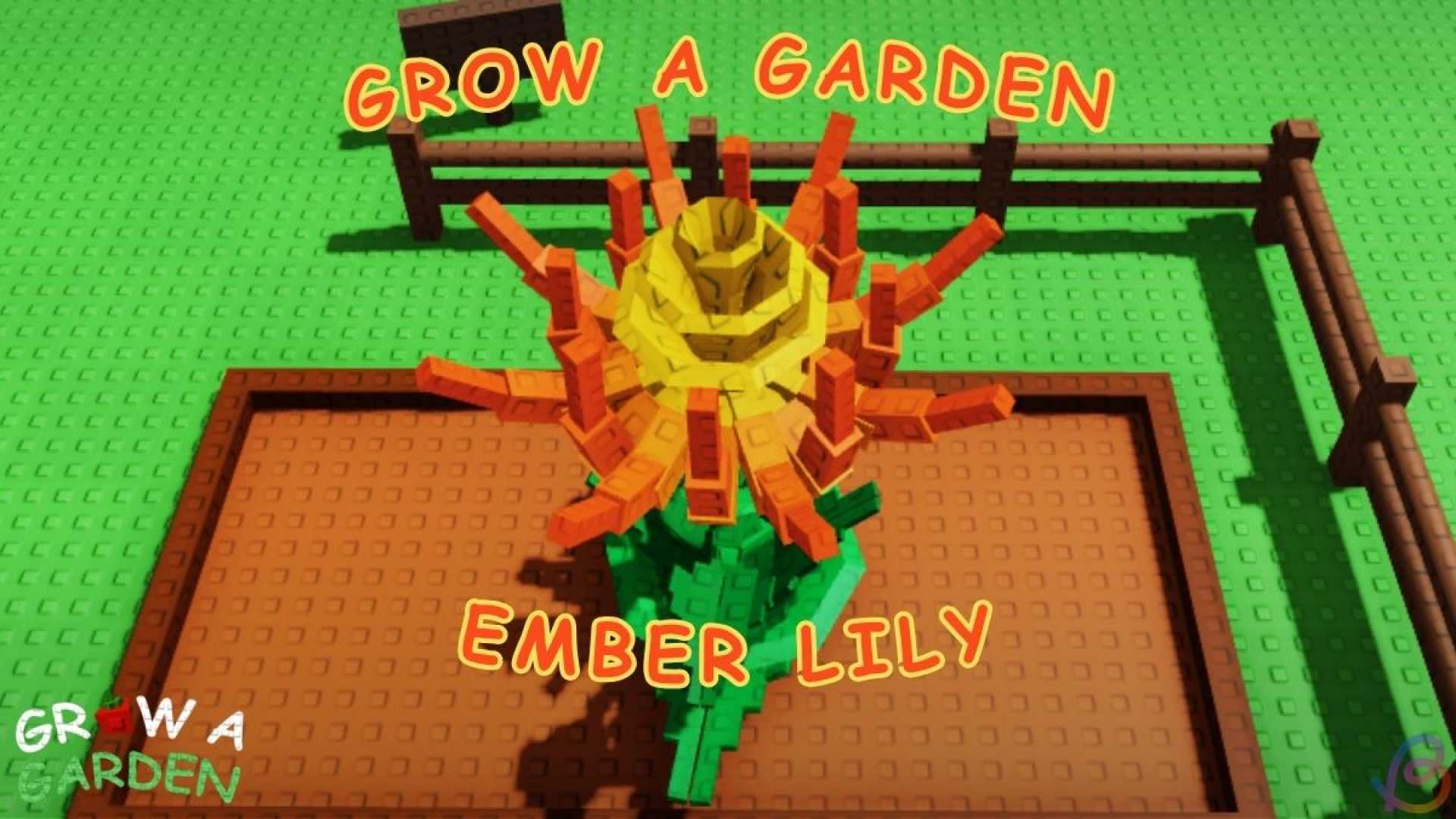 Ember Lily Grow A Garden