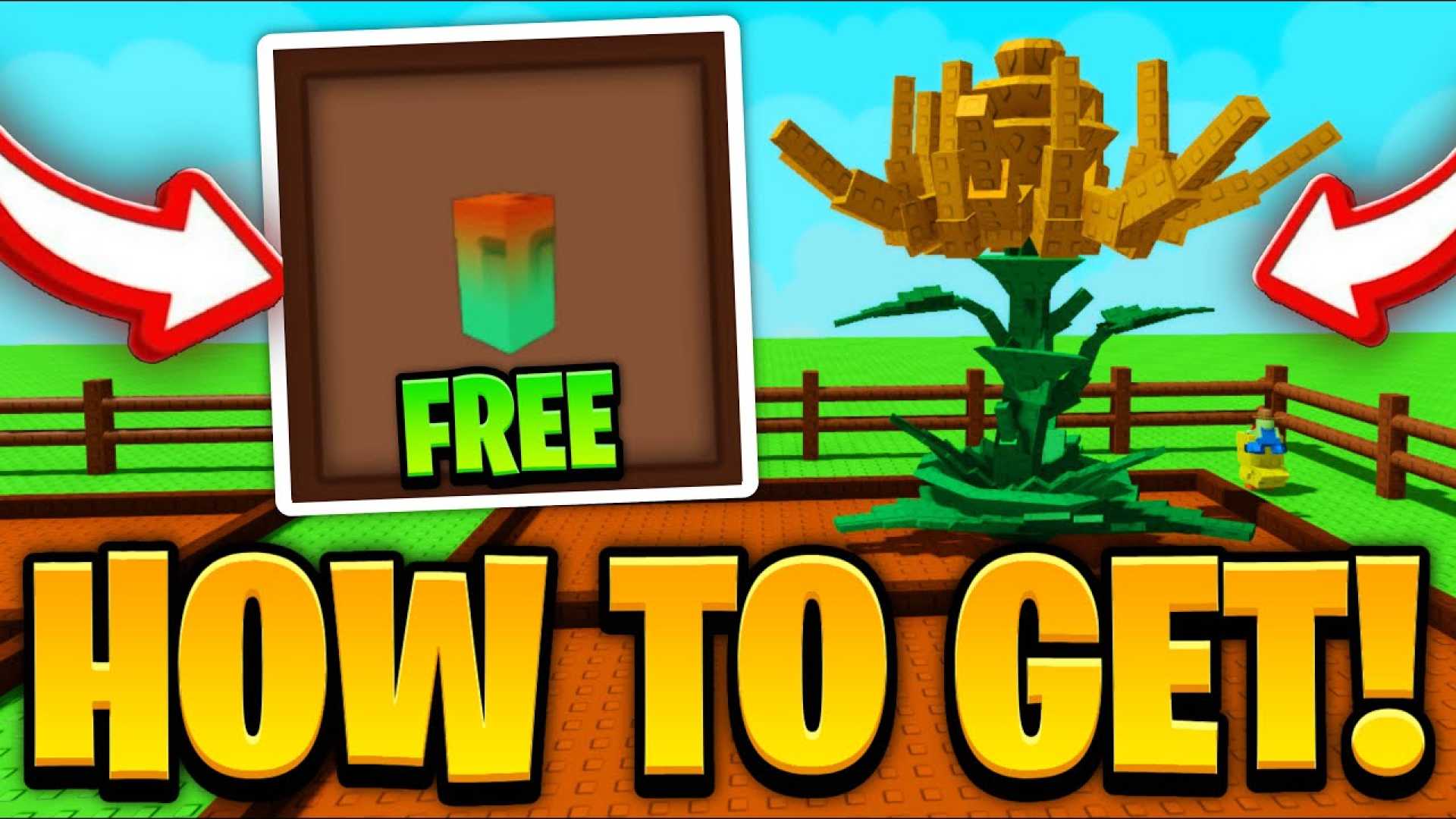 Ember Lily Seed Grow A Garden