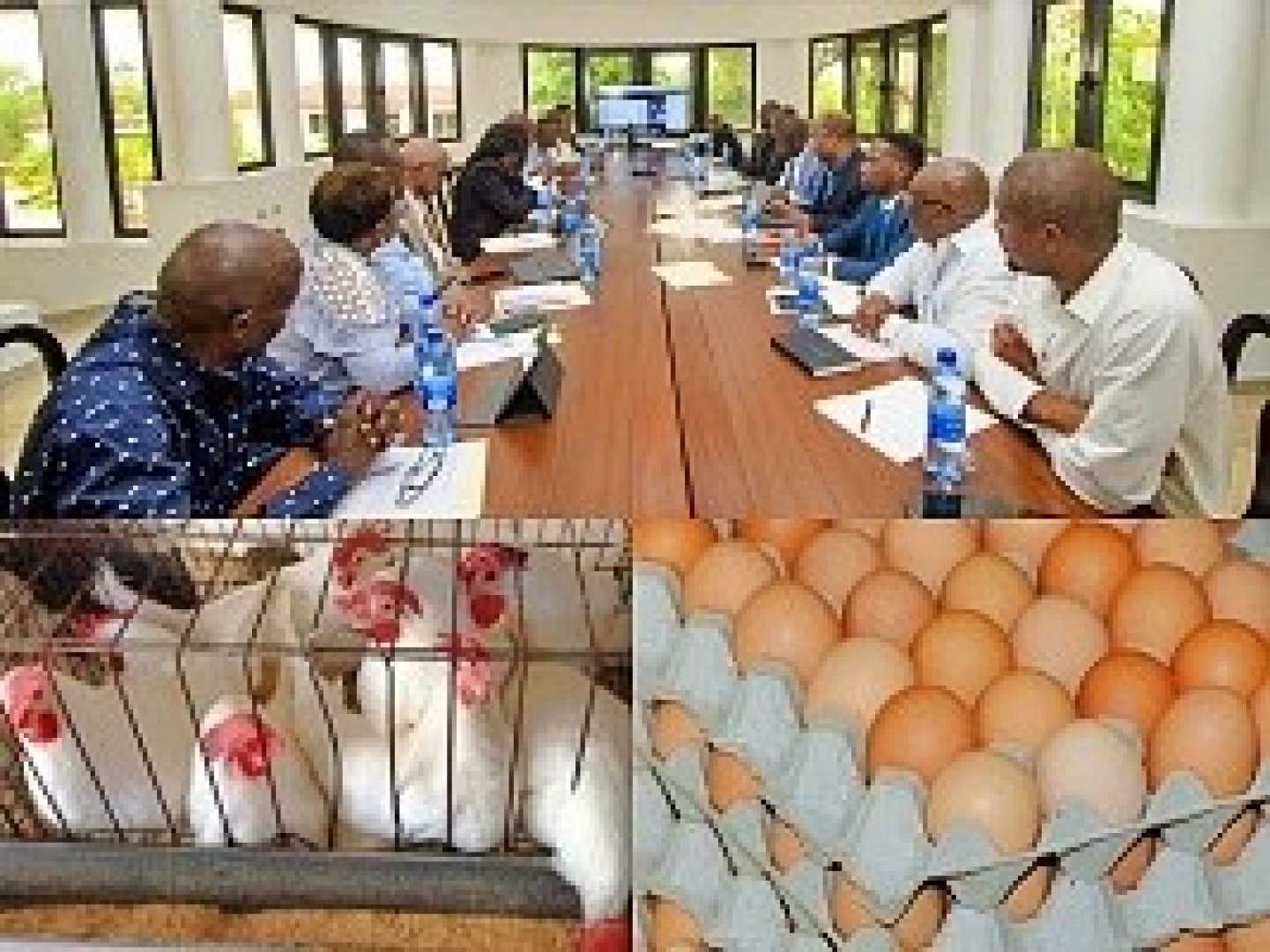 Haiti Poultry Sector Meeting