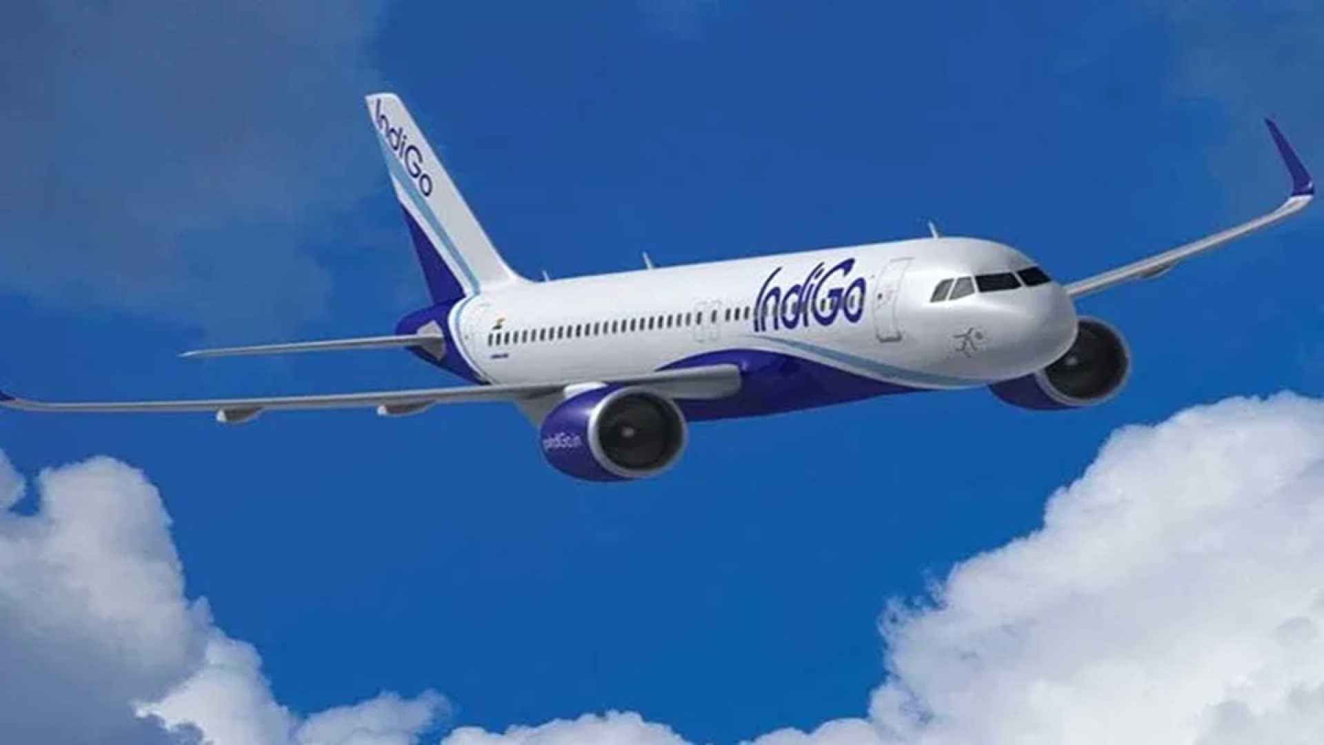Indigo Airline North America Europe Partnership