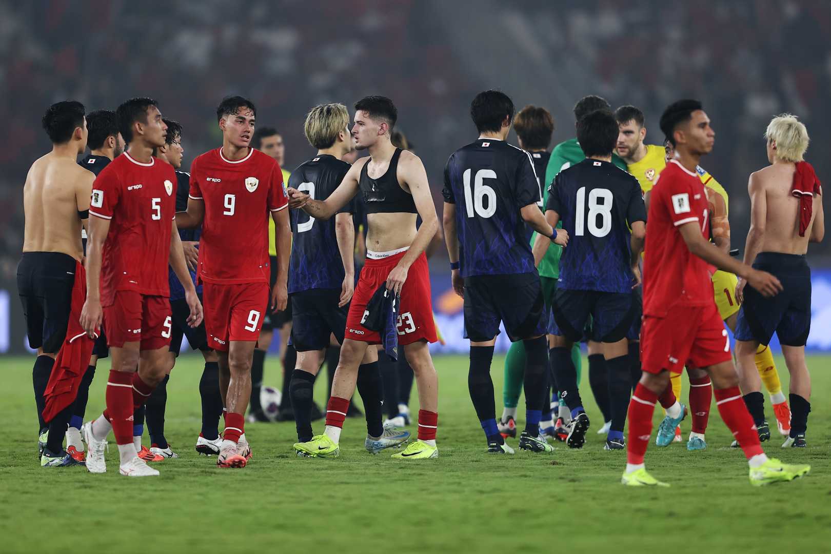Japan Indonesia World Cup Qualifier Match