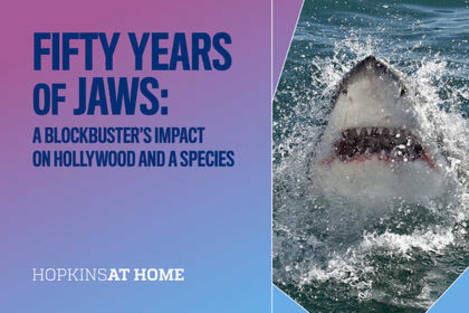 Jaws Movie Impact On Hollywood