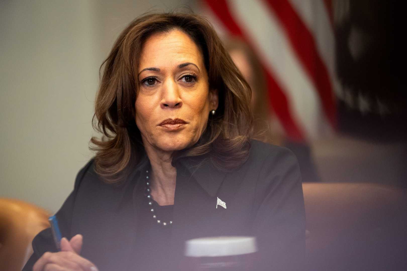 Kamala Harris 2028 Presidential Campaign