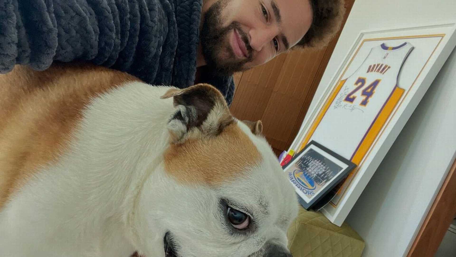 Klay Thompson Rocco Bulldog Tribute