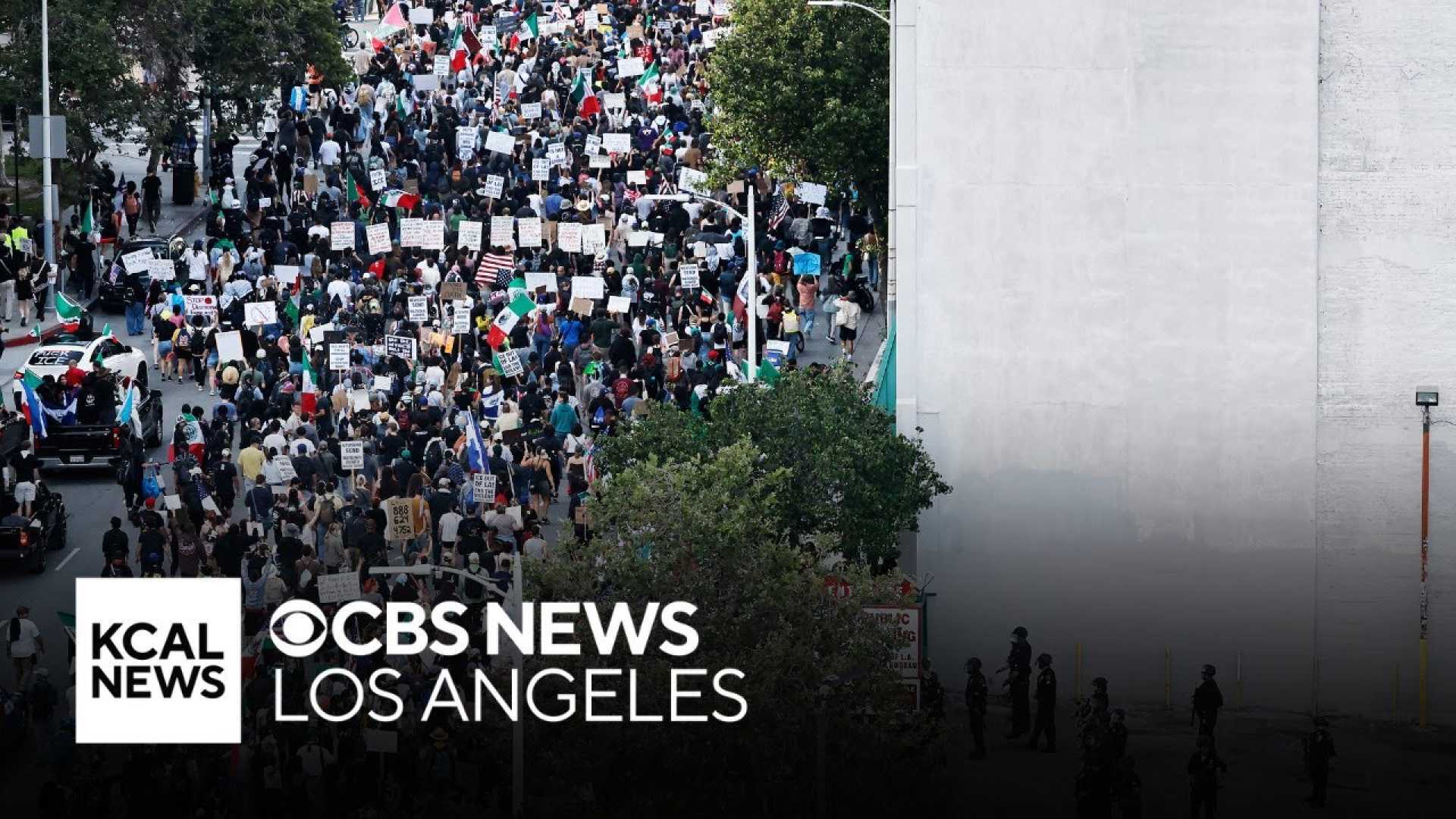 Los Angeles Immigration Protests
