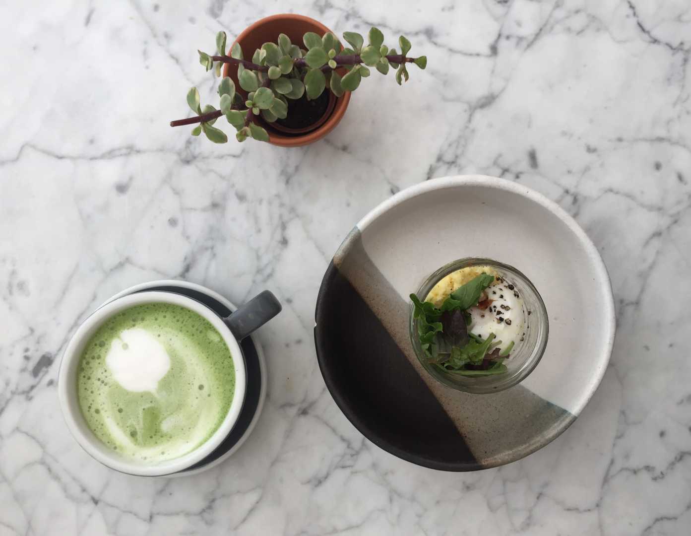 Matcha Tea Trend Boston Coffee Shop