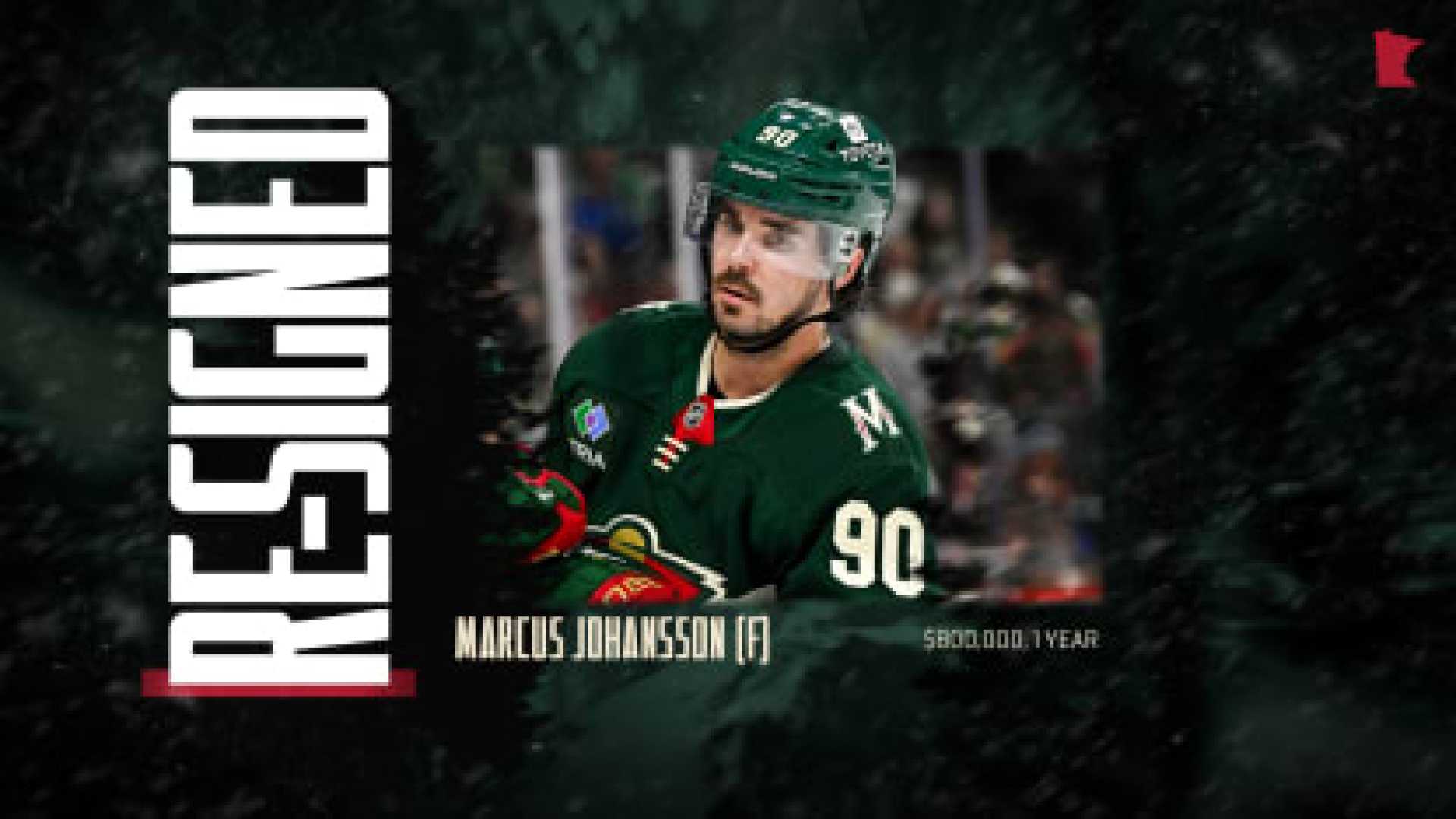 Minnesota Wild Hockey Team News