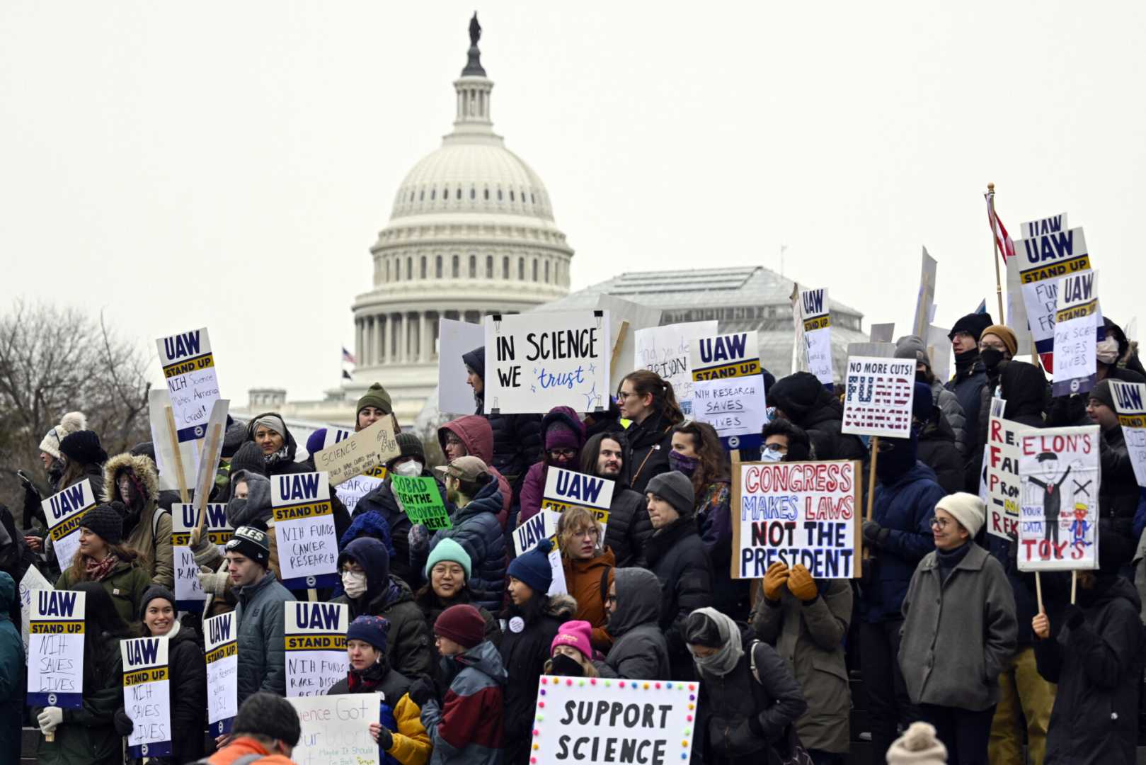 National Institutes Of Health Protests