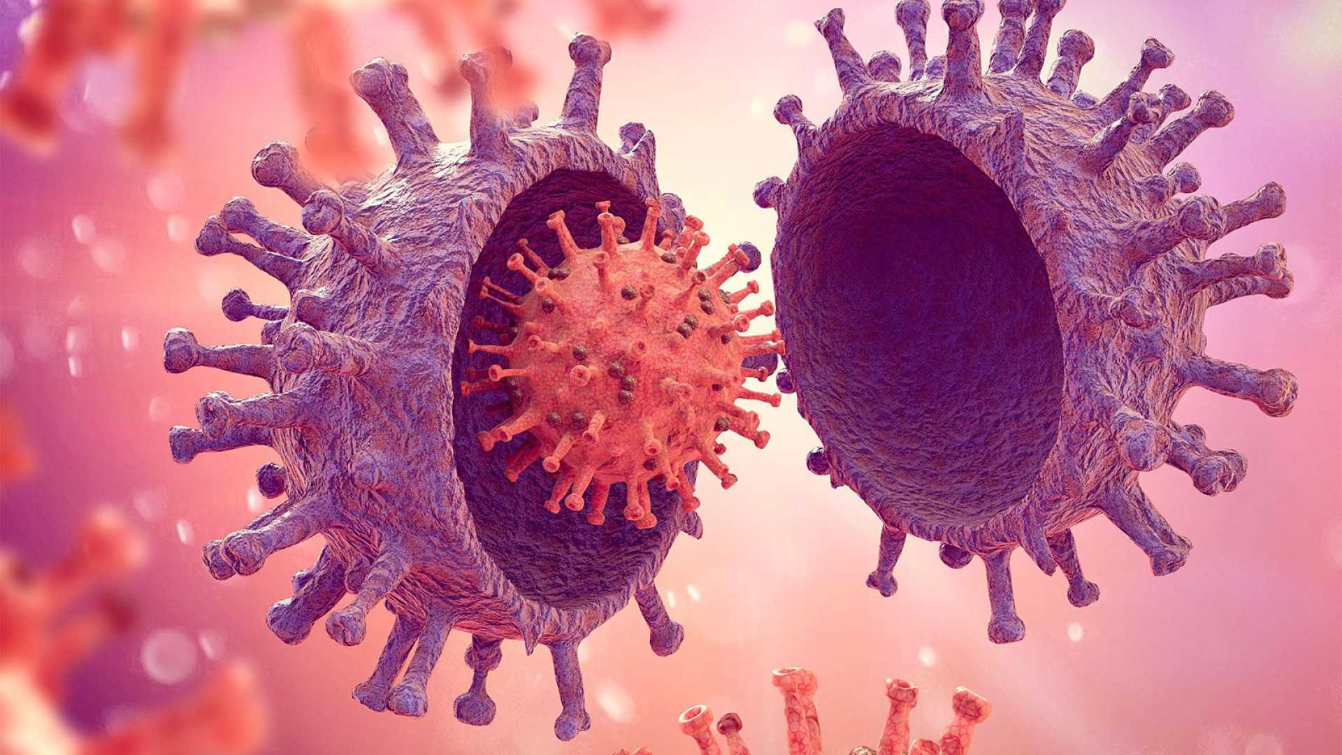 Nb.1.8.1 Coronavirus Variant