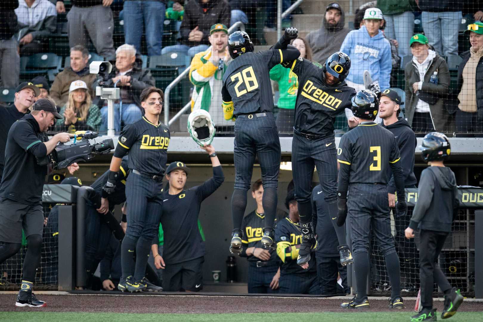 Oregon Ducks Baseball Team Ncaa Tournament