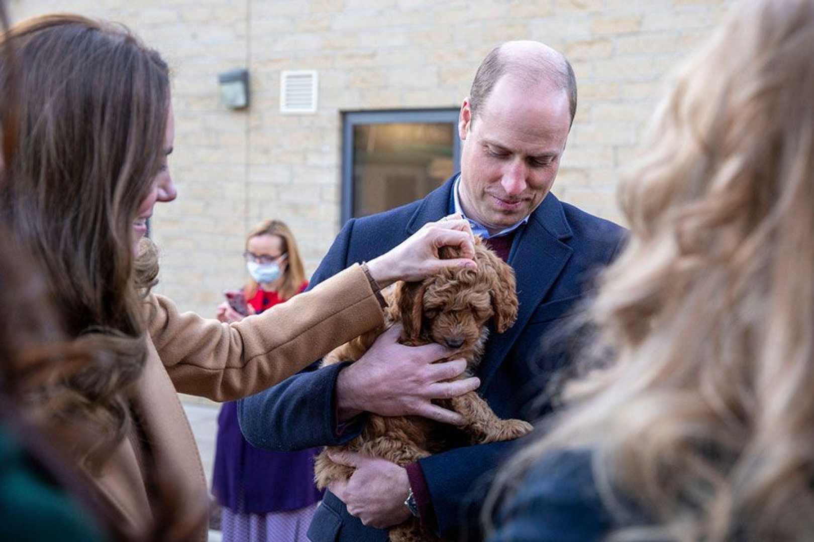 Prince William With Puppies Birthday Celebration