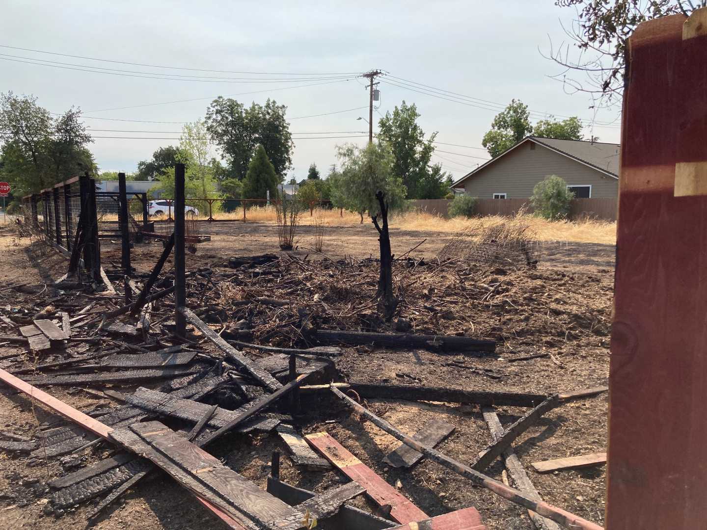 Redding Vegetation Fire Kenyon Drive