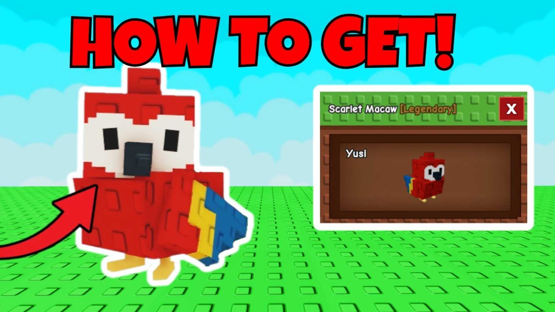 Scarlet Macaw Grow A Garden