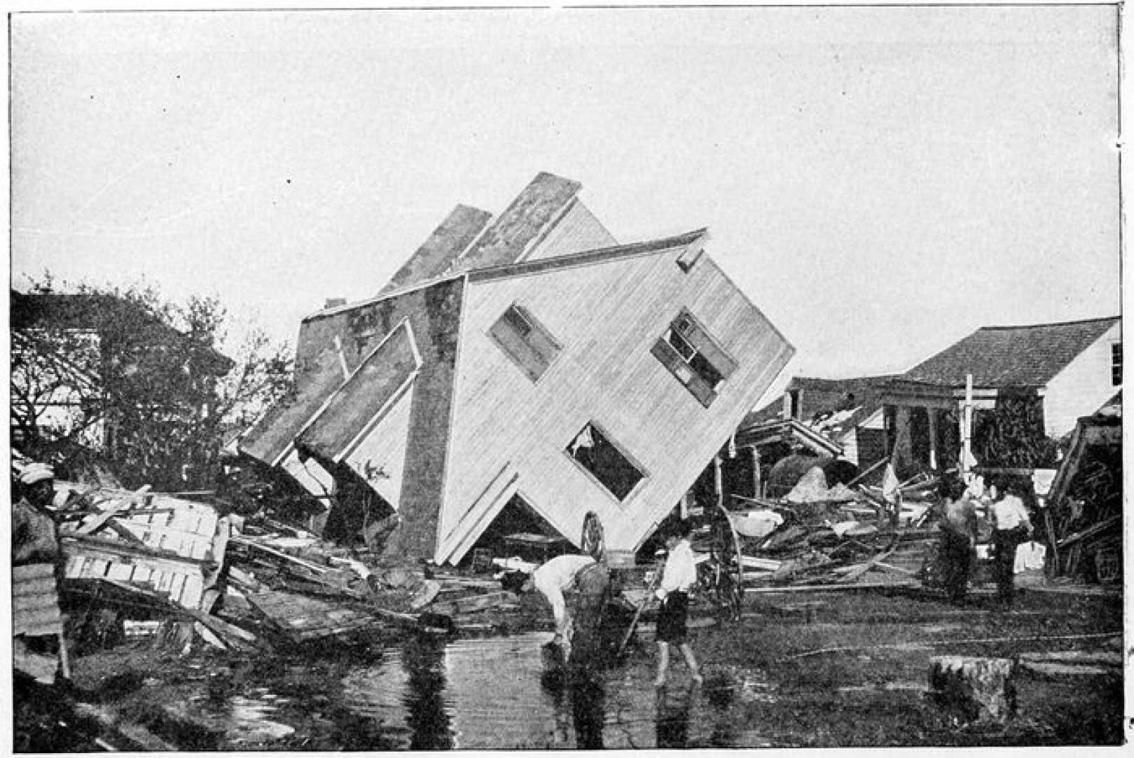 Seabrook Brothers Crop Processing Plant Roof Collapse