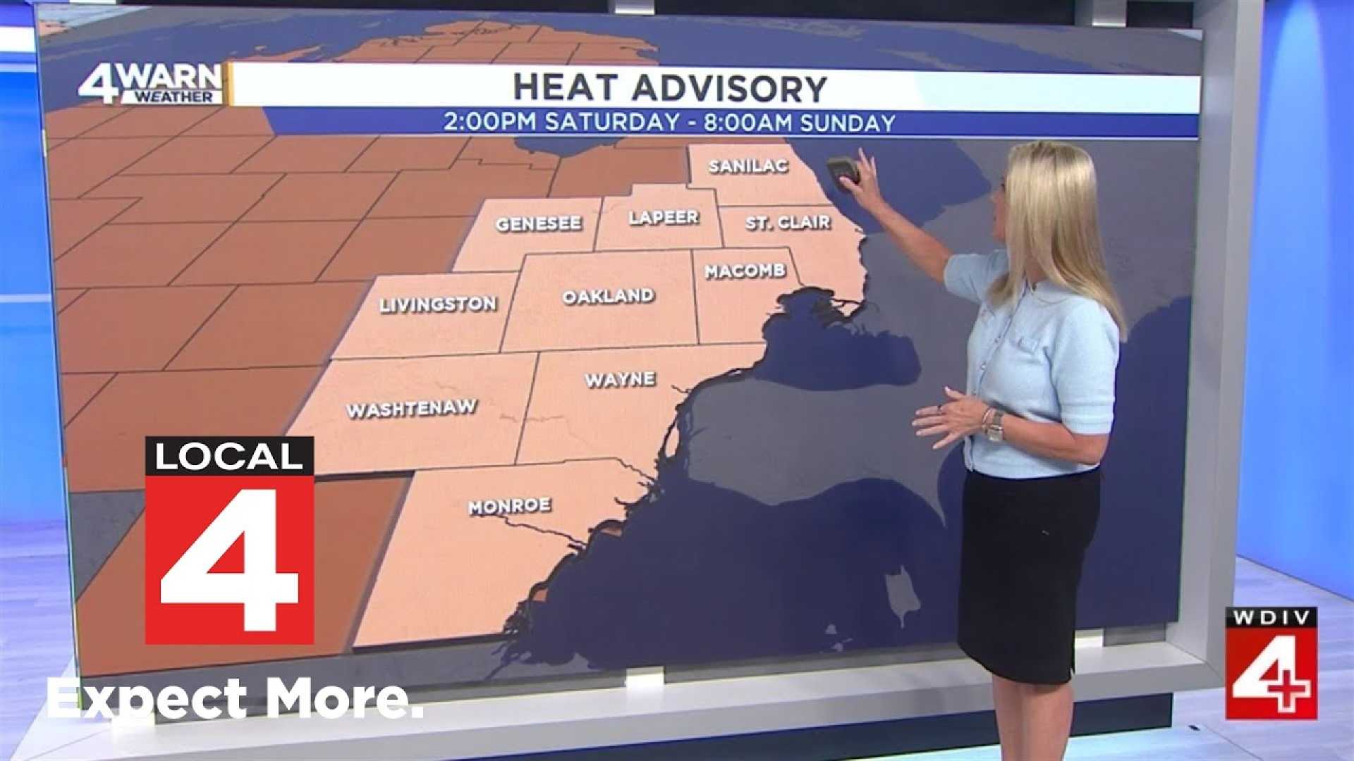 Southeast Michigan Heat Advisory June 2025