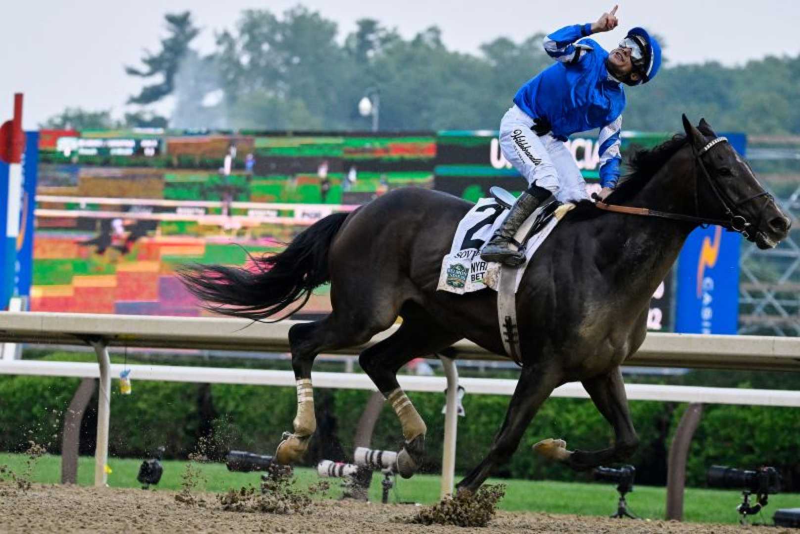 Sovereignty Horse Belmont Stakes 2025