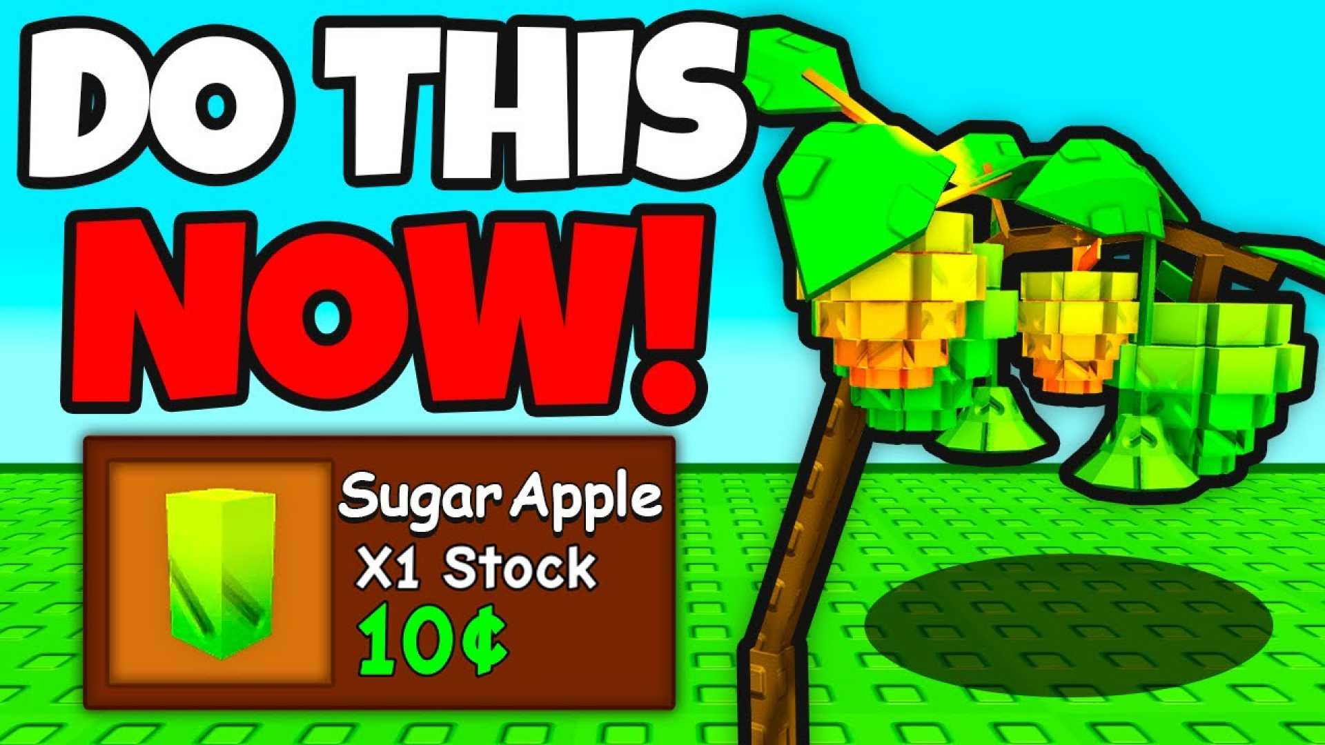 Sugar Apple Seed Grow A Garden