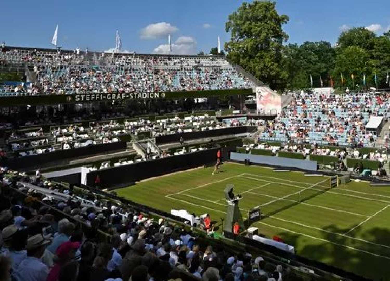Tennis Grass Court Action Berlin