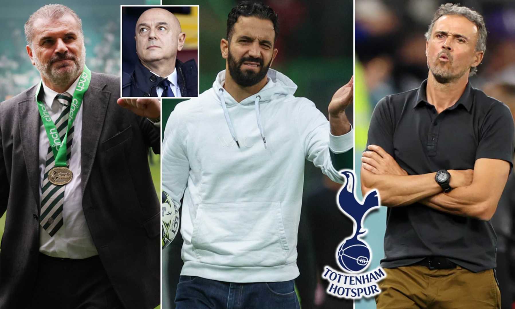Tottenham Hotspur Manager Candidates