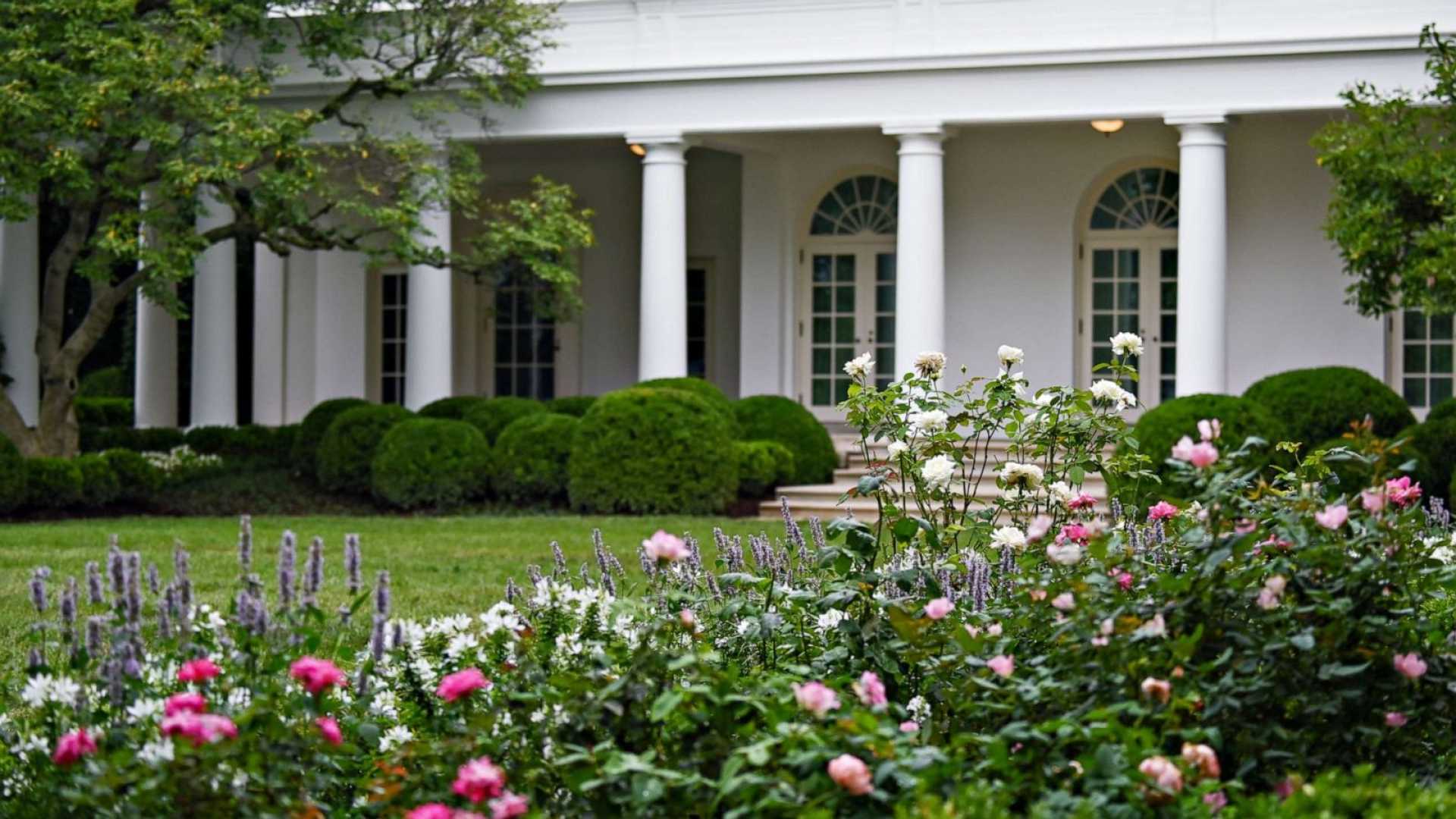 Trump White House Rose Garden Renovation